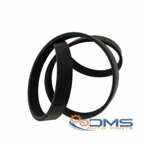 Ford Transit Connect Fan Belt - 6PK1460 - 1308228, 2T1Q6C301AA