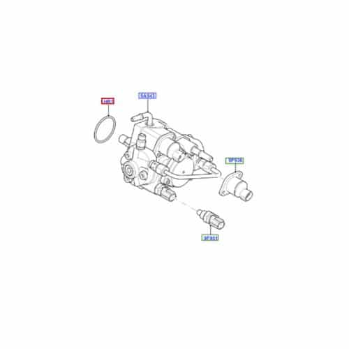 Ford Transit O Ring On Fuel Pump 1430481, W711698S300